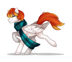 Size: 1376x1188 | Tagged: safe, artist:nemovonsilver, oc, oc only, oc:dookin foof lord, pegasus, pony, clothes, cute, scarf, simple background, solo, white background