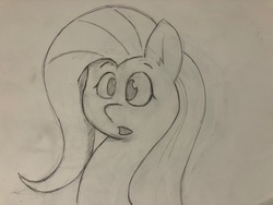 Size: 1280x960 | Tagged: safe, artist:nightchaser, fluttershy, g4, female, sketch, solo, surprised, traditional art