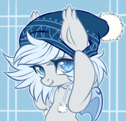 Size: 500x477 | Tagged: safe, artist:cabbage-arts, oc, oc only, oc:silver puff, oc:snow puff, bat pony, pony, bat pony oc, cute, hat, icon, looking at you, solo
