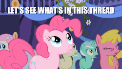 Size: 500x281 | Tagged: safe, edit, edited screencap, screencap, bon bon, cherry berry, lyra heartstrings, pinkie pie, sweetie drops, twinkleshine, friendship is magic, g4, animated, female, gif, image macro, meme, regret, what's going on in this thread