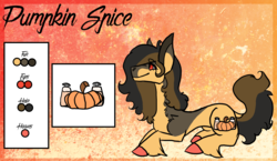 Size: 2232x1296 | Tagged: safe, artist:thebigearredbat, oc, oc only, oc:pumpkin spice, earth pony, pony, female, magical gay spawn, mare, offspring, parent:cheese sandwich, parent:king sombra, parents:cheesombra, reference sheet, solo, unshorn fetlocks