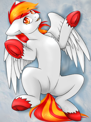 Size: 1200x1600 | Tagged: safe, artist:tokokami, oc, oc only, oc:flame runner, pegasus, pony, chest fluff, featureless crotch, solo, underhoof, unshorn fetlocks, ych result