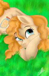 Size: 600x926 | Tagged: safe, artist:sweetkllrvane, pear butter, earth pony, pony, g4, female, grass, smiling, solo