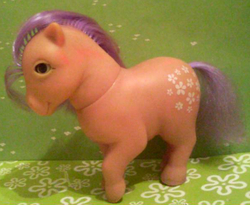 Size: 595x489 | Tagged: safe, blossom, earth pony, pony, g1, irl, orquidea, photo, piggy pony, solo, spain, toy