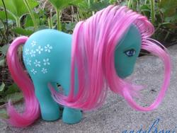 Size: 844x636 | Tagged: safe, photographer:angelponies, blossom, g1, irl, photo, toy, venezuela