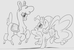 Size: 2750x1860 | Tagged: safe, artist:leadhooves, paprika (tfh), pinkie pie, alpaca, them's fightin' herds, g4, community related, crossover, monochrome