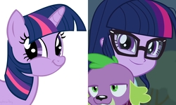 Size: 3413x2048 | Tagged: safe, artist:vivian reed, screencap, sci-twi, spike, spike the regular dog, twilight sparkle, dog, unicorn, equestria girls, g4, my little pony equestria girls: friendship games, swarm of the century, badass, badass adorable, comparison, cute, face, faic, funny face, high res, meme, meme face, shit eating grin, simple background, smiling, smirk, twiface, unicorn twilight, wrong neighborhood