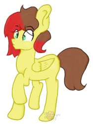 Size: 564x751 | Tagged: safe, artist:thatonefluffs, oc, oc only, pegasus, pony, male, simple background, solo, stallion, transparent background