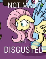 Size: 720x932 | Tagged: safe, artist:skitter, edit, fluttershy, rainbow dash, pegasus, pony, g4, disgusted, female, mare, meme