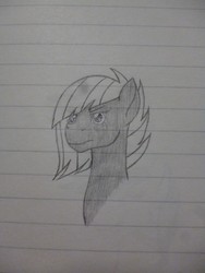 Size: 3240x4320 | Tagged: safe, artist:thr3eguess3s, limestone pie, earth pony, pony, g4, black and white, bust, female, grayscale, high res, lined paper, monochrome, portrait, solo, traditional art