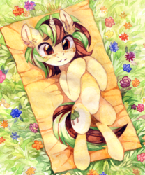 Size: 1282x1543 | Tagged: safe, artist:lispp, oc, oc only, oc:northern spring, pony, unicorn, female, flower, freckles, grass, lying, mare, plaid, smiling, solo, traditional art