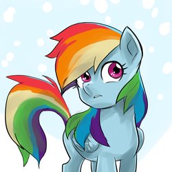 Size: 1000x1000 | Tagged: safe, artist:bojack_mlplove, rainbow dash, pegasus, pony, g4, female, looking at you, mare, solo