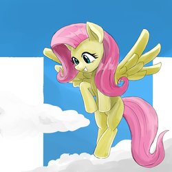 Size: 1000x1000 | Tagged: safe, artist:bojack_mlplove, fluttershy, pegasus, pony, g4, cloud, female, looking down, mare, solo
