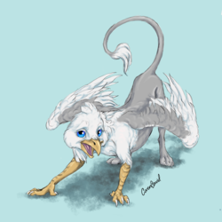 Size: 1234x1234 | Tagged: safe, artist:covencorvid, oc, oc only, oc:der, griffon, male, simple background, solo