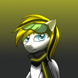 Size: 1500x1500 | Tagged: safe, artist:snowstormbat, oc, oc only, oc:hunter, pegasus, pony, clothes, goggles, looking at you, male, scarf, simple background, solo