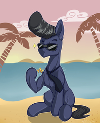 Size: 3000x3700 | Tagged: safe, artist:passigcamel, oc, oc only, pony, beach, high res, male, muscles, pompadour, royal pompadour, sitting, solo, stallion, sunglasses
