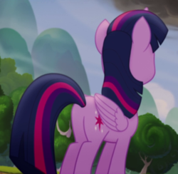 Size: 822x803 | Tagged: safe, screencap, twilight sparkle, alicorn, pony, g4, my little pony: the movie, butt, cropped, female, plot, solo, twilight sparkle (alicorn)