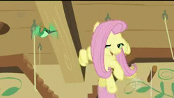 Size: 426x240 | Tagged: safe, screencap, fluttershy, hummingway, hummingbird, pony, a bird in the hoof, g4, animated, cute, female, shyabetes, singing, sound, theme song, webm, youtube link