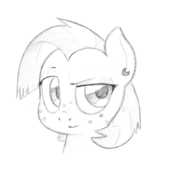 Size: 754x776 | Tagged: safe, artist:trickydick, babs seed, pony, g4, bust, female, monochrome, portrait, solo