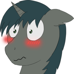 Size: 2000x2000 | Tagged: safe, artist:da random, derpibooru exclusive, oc, oc only, oc:da random, pony, unicorn, blushing, bust, ear fluff, high res, portrait, reaction image, simple background, solo, transparent background