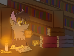 Size: 1200x900 | Tagged: safe, artist:slushnstuff, discord, g4, ask-clover-the-clever, book, bookshelf, candle, juice, juice box, magic, male, solo