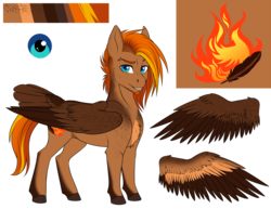 Size: 3876x3000 | Tagged: safe, artist:askbubblelee, oc, oc only, oc:singe, pegasus, pony, facial hair, freckles, goatee, high res, male, reference sheet, simple background, smiling, solo, stallion, tail feathers