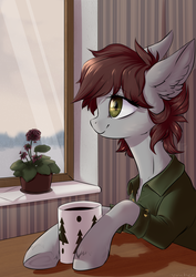 Size: 2894x4093 | Tagged: safe, artist:vincher, oc, oc only, pony, brown mane, clothes, ear fluff, gray coat, green eyes, mug, plant, shirt, smiling, solo, window
