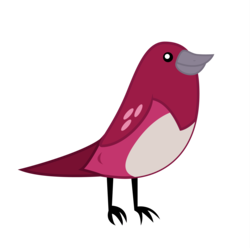 Size: 3000x2979 | Tagged: safe, artist:korikian, bird, ambiguous gender, animal, high res, house finch, simple background, solo, transparent background, vector