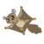 Size: 3000x3000 | Tagged: safe, artist:sitnich, flying squirrel, squirrel, g4, may the best pet win, ambiguous gender, animal, gliding, high res, simple background, solo, squirrely, transparent background