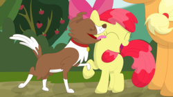 Size: 3533x1972 | Tagged: safe, artist:porygon2z, apple bloom, applejack, winona, dog, g4, apple tree, bow, hair bow, licking, raised hoof, tongue out, tree