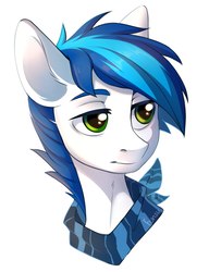 Size: 1436x1869 | Tagged: safe, artist:fensu-san, oc, oc only, pony, bust, male, neckerchief, portrait, simple background, solo, stallion, white background, x0000 milestone