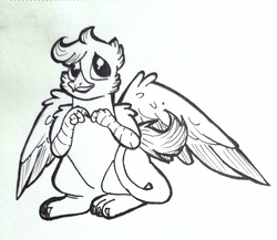 Size: 2968x2576 | Tagged: safe, artist:smirk, griffon, cute, high res, pen, shy, traditional art