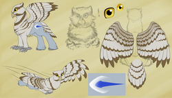Size: 1279x734 | Tagged: safe, artist:mythpony, oc, oc only, hippogriff, owl, reference sheet, solo