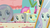 Size: 1280x720 | Tagged: safe, screencap, fluttershy, pony, discordant harmony, g4, my little pony: friendship is magic, dish, female, mare, mirror, reflection, solo, toaster, vase