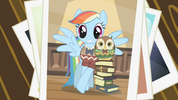 Size: 1280x720 | Tagged: safe, screencap, rainbow dash, bird, owl, pegasus, pony, g4, may the best pet win, book, clothes, crossed hooves, duo, leaning, photo, pose, side by side, smiling, sweater