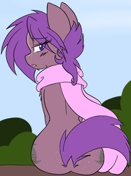 Size: 2320x3106 | Tagged: safe, artist:steelsoul, oc, oc:tough love, pony, both cutie marks, butt, butt freckles, clothes, dock, female, freckles, high res, looking back, plot, scarf
