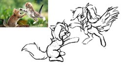 Size: 1280x720 | Tagged: safe, artist:vincher, cat, pegasus, pony, unicorn, ponified animal photo, sketch