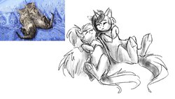 Size: 1280x720 | Tagged: safe, artist:vincher, cat, pegasus, pony, unicorn, ponified animal photo, sketch