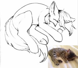 Size: 1235x1080 | Tagged: safe, artist:vincher, cat, pony, unicorn, kitten, ponified animal photo, sketch, sleeping, solo