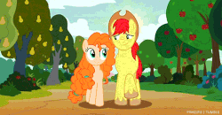 Size: 540x280 | Tagged: safe, screencap, bright mac, pear butter, g4, the perfect pear, animated, apple tree, female, gif, looking at each other, male, pear tree, ship:brightbutter, shipping, straight, tree, walking, you're in my head like a catchy song