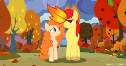 Size: 540x280 | Tagged: safe, screencap, bright mac, pear butter, g4, the perfect pear, animated, apple tree, autumn, female, leaves, looking at each other, male, pear tree, ship:brightbutter, shipping, straight, tree, walking, you're in my head like a catchy song