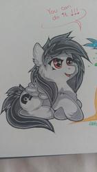 Size: 2304x4096 | Tagged: safe, artist:annuthecatgirl, oc, oc only, oc:anti-lag, pegasus, pony, crossed hooves, female, heart eyes, mare, simple background, traditional art, wingding eyes