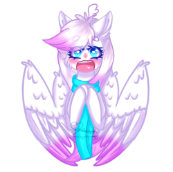 Size: 1493x1487 | Tagged: safe, artist:honeybbear, oc, oc only, oc:infinity, pegasus, pony, blushing, clothes, colored wings, colored wingtips, female, mare, scarf, simple background, solo, transparent background