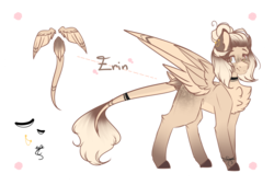 Size: 3137x2119 | Tagged: safe, artist:mauuwde, oc, oc only, oc:erin, pegasus, pony, chest fluff, female, high res, mare, reference sheet, solo