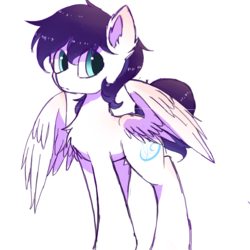 Size: 1400x1400 | Tagged: safe, artist:heddopen, oc, oc only, oc:ice feather, pegasus, pony, chest fluff, ear fluff, male, simple background, stallion, white background, wings