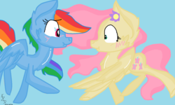 Size: 1332x798 | Tagged: safe, artist:generalfreyma, fluttershy, rainbow dash, pegasus, pony, g4, blue background, blushing, female, flower, flower in hair, flying, lesbian, looking at each other, mare, ship:flutterdash, shipping, signature, simple background, spread wings, wings