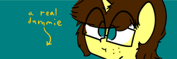 Size: 6250x2084 | Tagged: safe, artist:binary6, oc, oc only, oc:happy wigglesworth, pony, unicorn, banner, freckles, glasses, male, meta, twitter