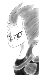 Size: 1142x2169 | Tagged: safe, artist:lobonox1313, tempest shadow, pony, unicorn, g4, my little pony: the movie, armor, broken horn, bust, eye scar, female, grayscale, horn, mare, monochrome, scar, simple background, sketch, white background