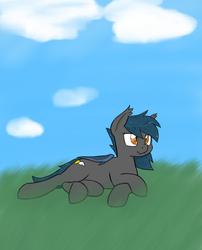 Size: 1440x1784 | Tagged: safe, oc, oc only, oc:speck, bat pony, field, lying down, smiling, solo