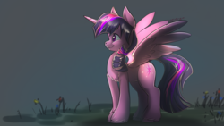 Size: 1920x1080 | Tagged: safe, artist:noben, twilight sparkle, alicorn, pony, g4, female, solo, twilight sparkle (alicorn)